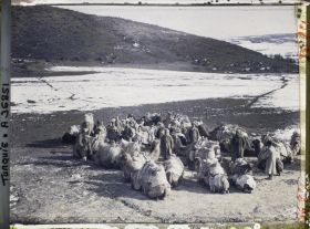 Image représentant Caravane de chameaux au repos