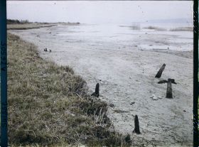 Image représentant Site palafittique préhistorique des Alpes, pieux en bois visibles lors de la baisse des eaux après la grande sécheresse de 1921