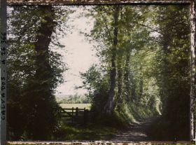 Image représentant Petit chemin conduisant à un pâturage