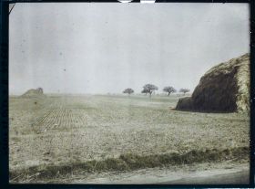 Image représentant France, Les Clayes, Champs de blé sur la route de Neauphle le Chau