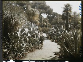 Image représentant le Jardin