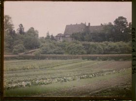 Image représentant Le Château de Neubourg vu des jardins
