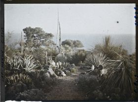 Image représentant le Jardin