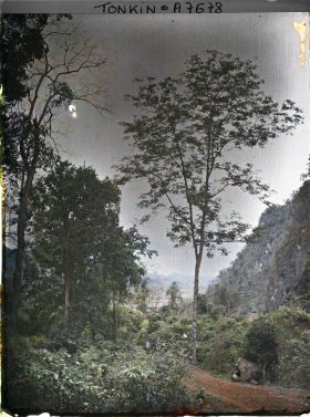 Image représentant Paysage sur les pentes du massif de Bac-so'n (ou massif de Cai-binh)