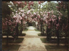 Image représentant Axe central du verger-roseraie vu à mi-parcours, en direction de la dépendance