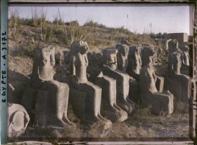 Image représentant Plusieurs statues de la déesse Sekhmet