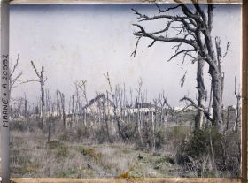 Image représentant France, Loivre, Vue vers la Verrerie