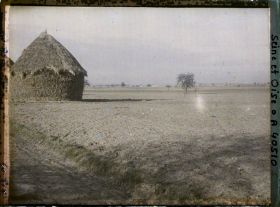 Image représentant France, Les Clayes, Champ de blé sur le bord de la grande route