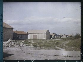 Image représentant France, Cernay en Dormois Marne 313 h, Abords de la route de Séchauld