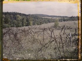 Image représentant France, Bois-Yuca, Défenses à la lisière du bois vers le ravin d'Apremont et le bois de la Corvée des Prêtres