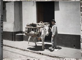 Image représentant Un marchand ambulant de légumes et son âne