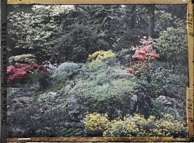 Image représentant Rocaille fleurie du " sanctuaire japonais " située non loin du sorinto