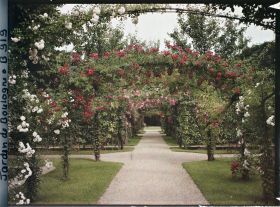 Image représentant Axe central du verger-roseraie vu en direction du jardin anglais, après le rond-point côté dépendance
