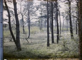 Image représentant L'île des lapins, voisine de l'île Saint-Pierre