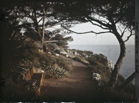 Image représentant allée allant au sentier de mer