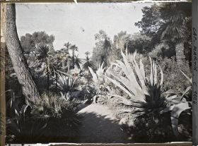 Image représentant Le Jardin (matin, vers Monaco)