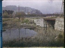 Image représentant La route de l'île Saint-Pierre et le château de Cerlier