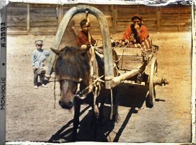 Image représentant Une paysanne conduisant une charrette