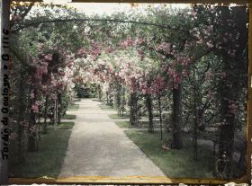 Image représentant Axe central du verger-roseraie vu vers la dépendance, après le rond-point proche du jardin français