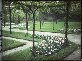 Image représentant Partie sud-ouest du verger-roseraie vue à proximité de l'axe central, en direction du jardin japonais