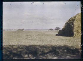 Image représentant France, Les Clayes, Champ de blé sur la route de Neaupbe-le-Château
