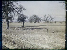 Image représentant France, Les Clayes, Champs et Pommiers