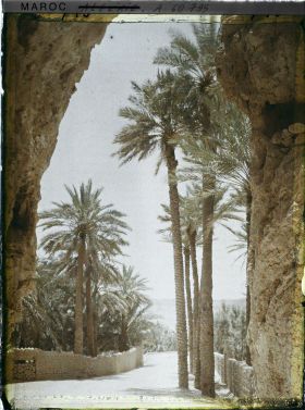 Image représentant La sortie de la palmeraie