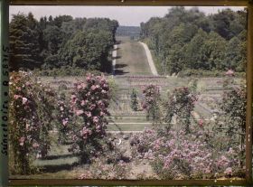 Image représentant Propriété de madame Douine