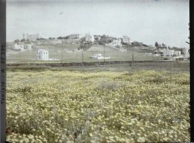 Image représentant Vue de la colline de Saint-Louis ou Byrsa avec à gauche la cathédrale de Saint-Louis ou primatiale de Carthage et à droite des villas et l'hôtel Saint-Louis