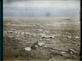 Image représentant Site palafittique préhistorique des Alpes, pieux en bois visibles lors de la baisse des eaux après la grande sécheresse de 1921 sur le lac de Neuchâtel