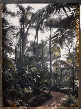 Image représentant Cap-Martin - Le Jardin