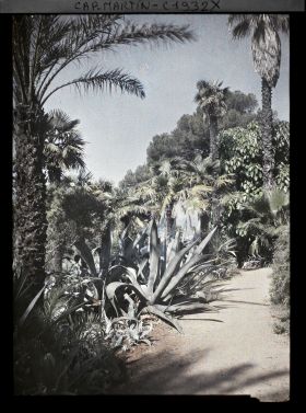 Image représentant Percée sur Monaco à travers la végétation, au bord d'une allée bordée d'agaves et palmiers