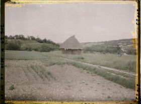 Image représentant Ile de France, Tessancourt, Jardins et blé