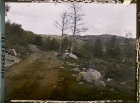 Image représentant sur la route