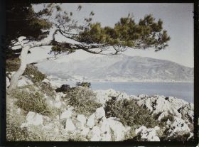Image représentant Pin du cap Martin, soulignant un panorama sur Menton et ses environs