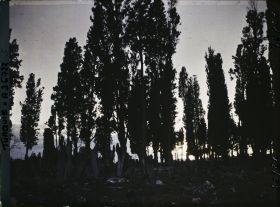 Image représentant Turquie, Constantinople, Soleil Couchant au Cimetière de Teckfour- Seraï