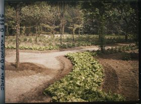 Image représentant Rond-point bordé de légumes et partie nord-ouest du verger-roseraie, vus vers la dépendance ?