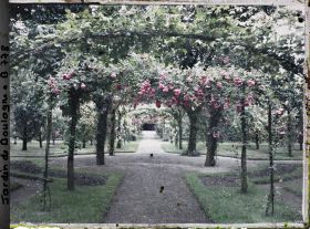 Image représentant Axe central du verger-roseraie vu en direction du jardin anglais, près du rond-point côté dépendance