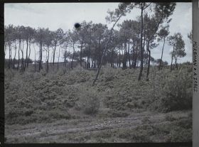 Image représentant La lande de Kerlescan