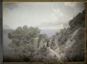 Image représentant Face à Monaco, chemin du jardin descendant vers la mer à travers la végétation spontanée