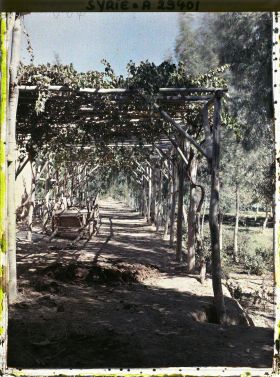 Image représentant Entrée d'une ferme