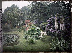 Image représentant Massif d'arbustes et gunnera situés en bord " d'étang ", à l'est du marais, vu en direction du nord