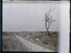 Image représentant France, Nauroy, Aspect Général et la route