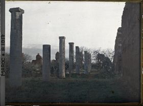 Image représentant Vestiges de colonnes de la mosquée Hassan