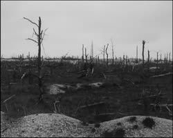 Image représentant Le fort de la Pompelle