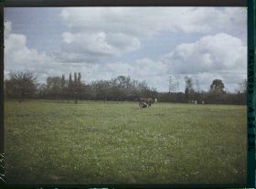 Image représentant Pâturage