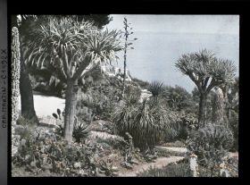 Image représentant Villa Kahn - le jardin et la terrasse de la villa à l'arrière-plan