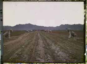 Image représentant Ming Shisanling (" Treize Tombeaux des Ming ")