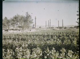 Image représentant Afghanistan, Hérat, Vue s/ les minarets de la gde mosquée