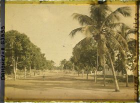 Image représentant L'avenue d'Awansoli dans le quartier européen